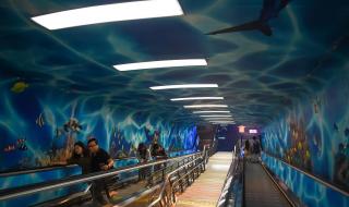 上海高架上实线变道（外滩隧道有摄像头）过多久会收到违章短信 上海外滩隧道车祸