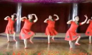 双人水兵舞基本步教学 水兵舞基本步教学