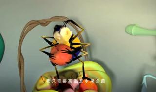 丛林特战队主题曲 小狐狸发明记主题曲