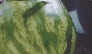 回家过年的第一批人搞笑文案 第一批回家过年的人