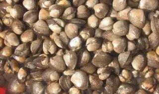 曹妃甸潮汐表28号几点落潮 曹妃甸潮汐表查询2020